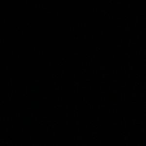 Meet your Posher, Timmy